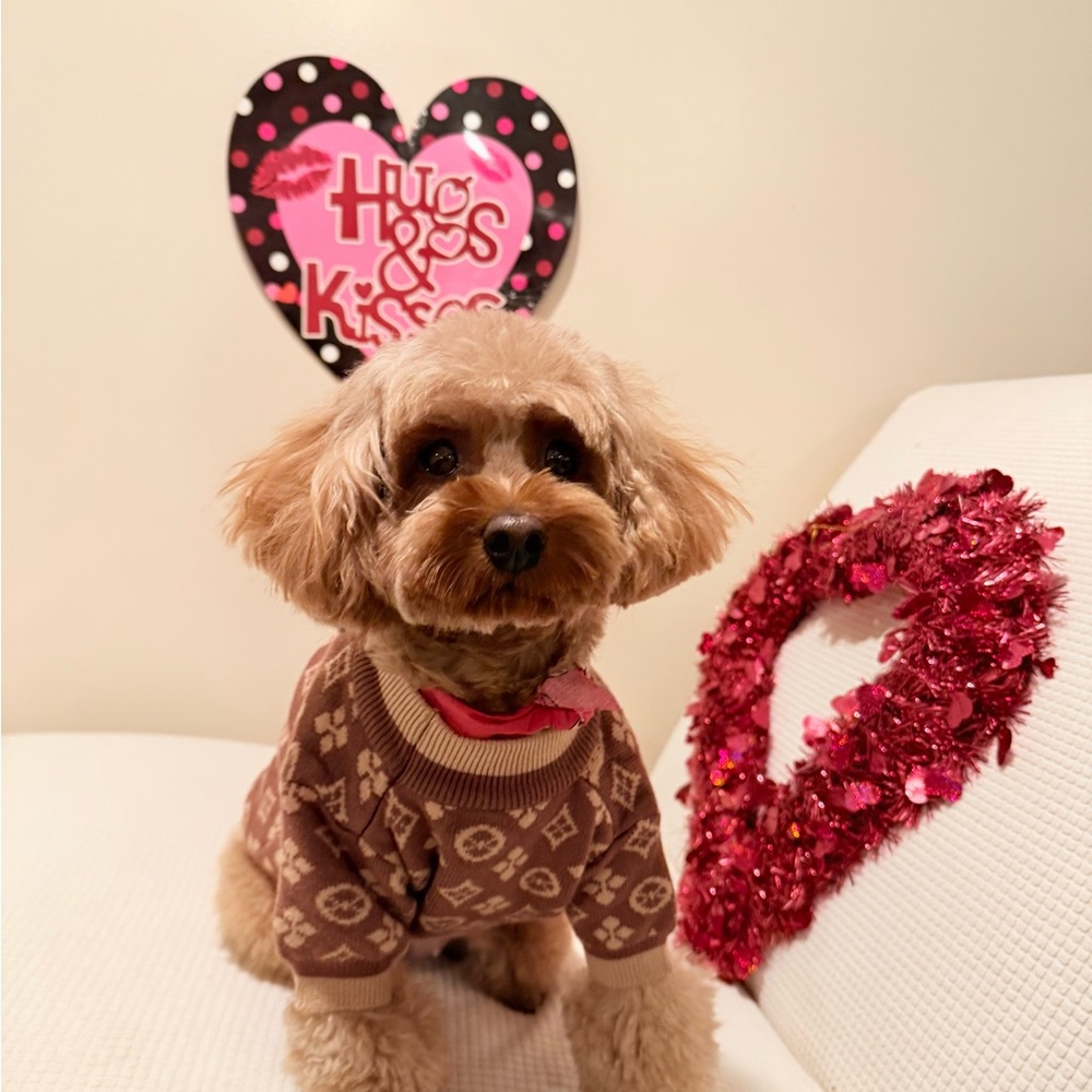 Brown Patterned Dog Sweater